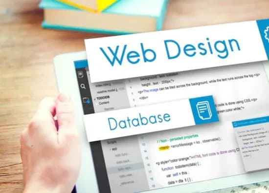 Website Designing For Small Business