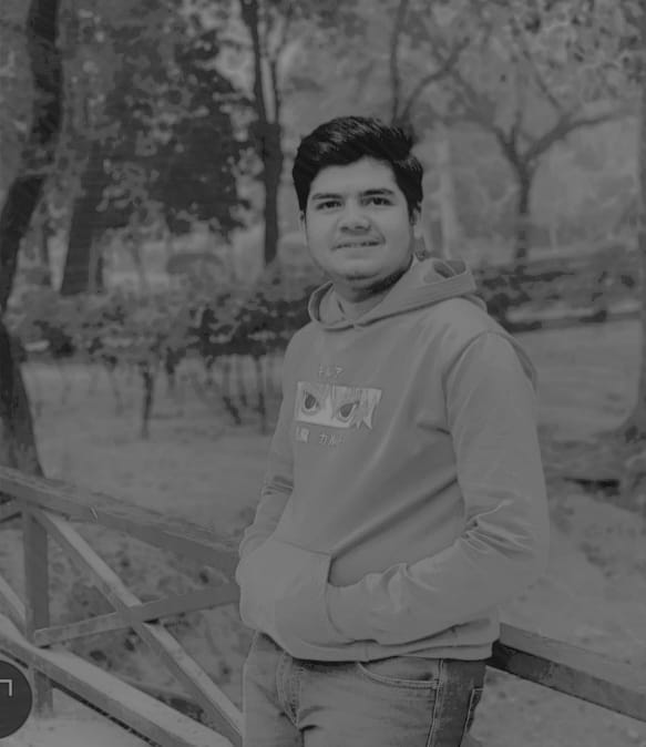 SEO Executive